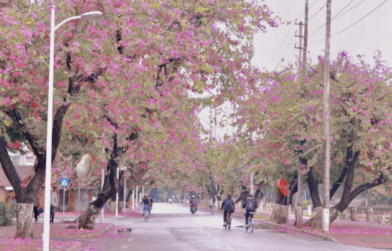 圖片.png 圖片.png