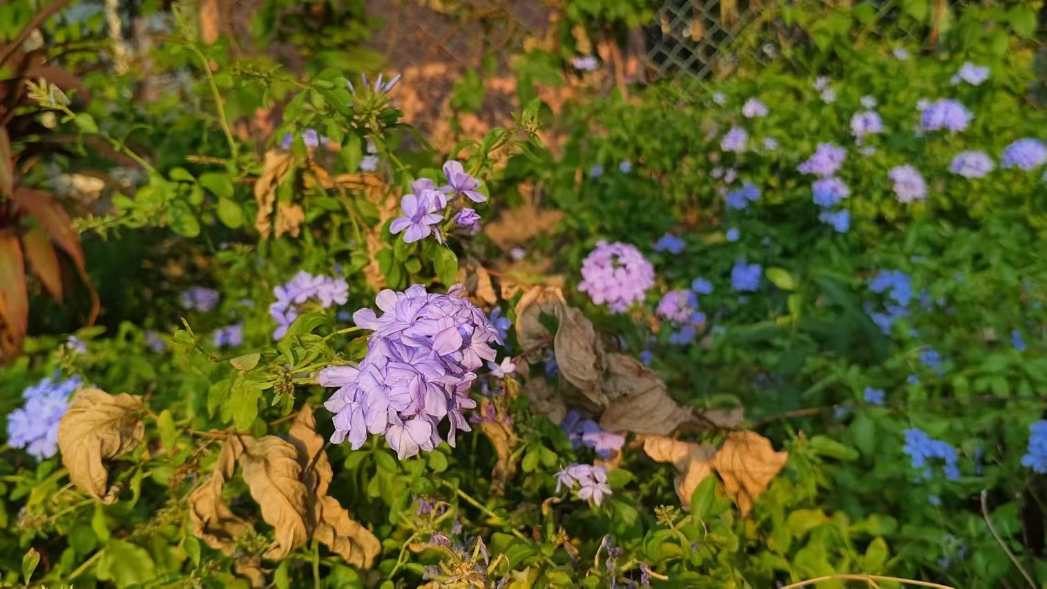 微信圖片_20241017081809.jpg 微信圖片_20241017081809.jpg